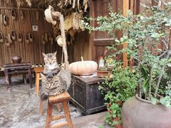 -尧坝古镇