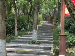 -天目湖山水园