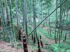 -山沟沟景区