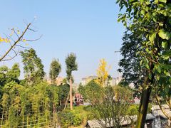 -枫香湖儿童公园