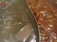 -菌子鲜汤野生菌锅