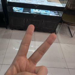 -焰针刺青纹身.手工穿孔饰品·中国刺青名店