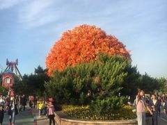 -沈阳方特欢乐世界