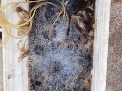 -ChanDu躔度咖啡(灯塔店)