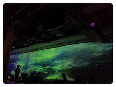 -CLUB VIVA(购物公园店)