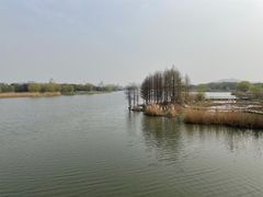 -长广溪湿地公园