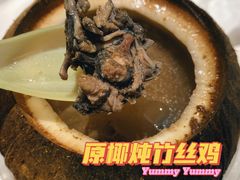 -達揚原味燉品(文明路店)