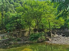 -白云源风景区