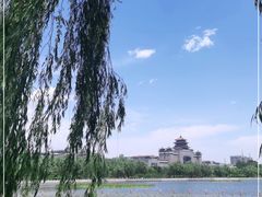 -莲花池公园