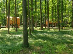 -黄海国家森林公园