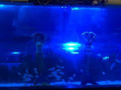 -成都浩海立方海洋公园