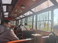 -合肥滨湖国家森林公园