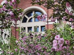 -长沙市青少年宫