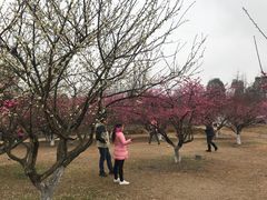 -秀丽东方