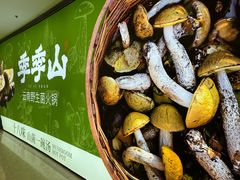 -季季山•云南野生菌火锅(上海首店)