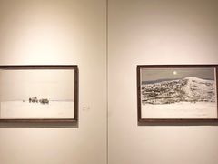 -中国艺术研究院油画院