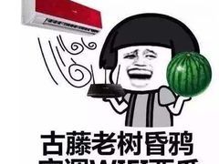 -the rug 飞毯 (朝阳公园店)
