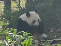 -南宁市动物园