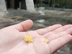 -大唐贡茶院