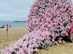 -小梅沙海滨乐园