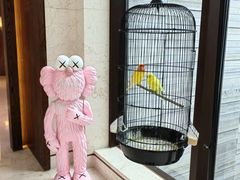 -上海崇明金茂凯悦酒店