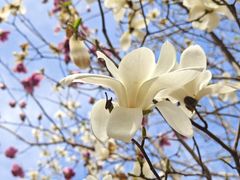 -天津东丽湖风景区