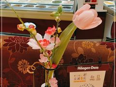 -哈根达斯(石家庄北国店)