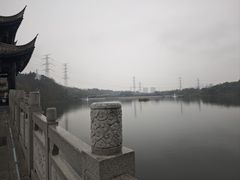 -重庆园博园