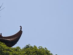 -黄埔油麻山森林公园