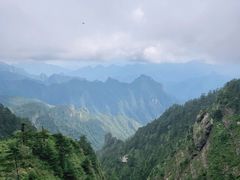 -炎陵县神农谷国家森林公园
