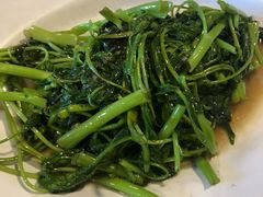 -ZF Seafood Restaurant 卓峰海鲜餐