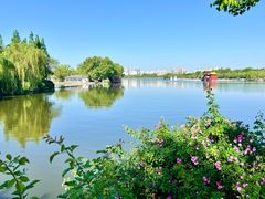 -济南大明湖景区