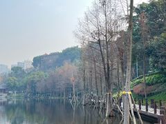 -重庆彩云湖湿地公园