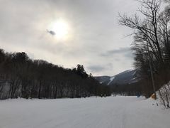 -亚布力新体委滑雪场