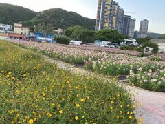 -玫瑰海岸文化旅游度假区