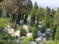 -原山国家森林公园