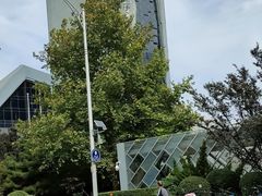 -中央广播电视总台(光华路办公区)