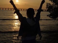 -宝安西湾红树林湿地公园