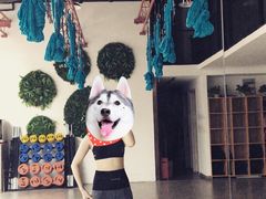 -LikingFit24小时健身•普拉提(张江店)