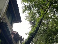 -西溪南古村落景区