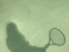 -成都高新创新角度网球俱乐部