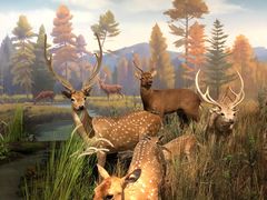 -陕西自然博物馆