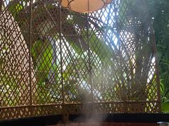 -大头椰·椰子鸡火锅(南宁万象城店)