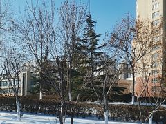 -绿岛公园(滨海新区)