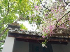 -深圳国际园林花卉博览园