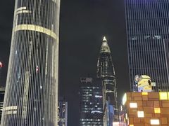 -深圳湾万象城(南山店)