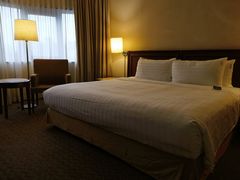 -新加坡雅庭假日酒店