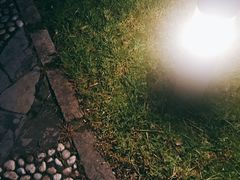 -上海市保健医疗中心(华东疗养院)