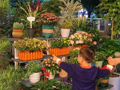 -山水茶艺馆·点心粤菜·30年老字号