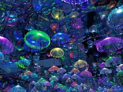 -天津梵高星空艺术馆(天河城旗舰店)